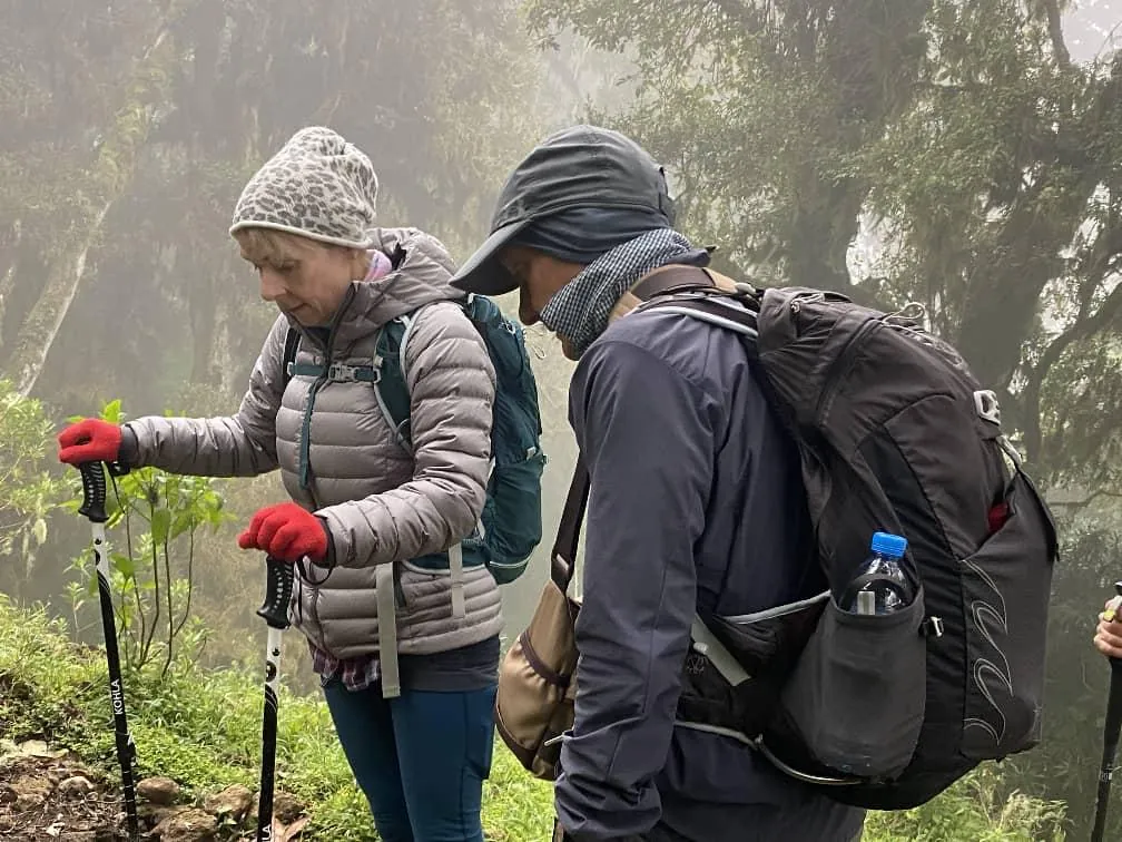 Mount Kilimanjaro trekking landscape